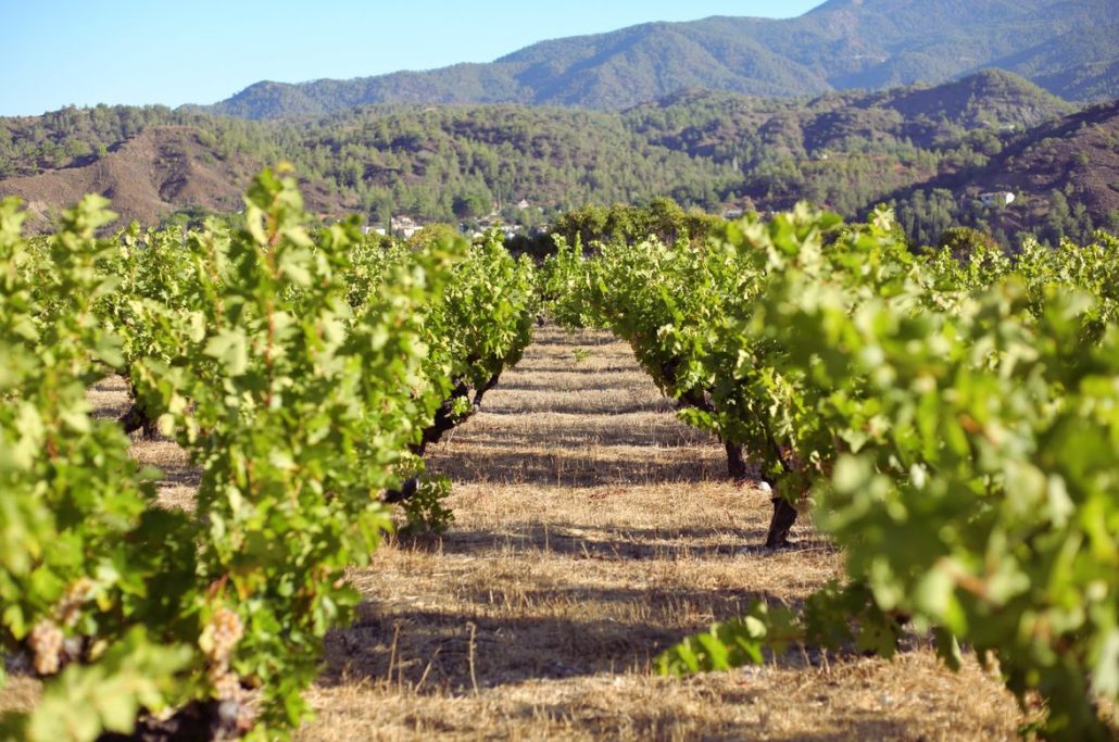 Zambartas' Pledge to Nature