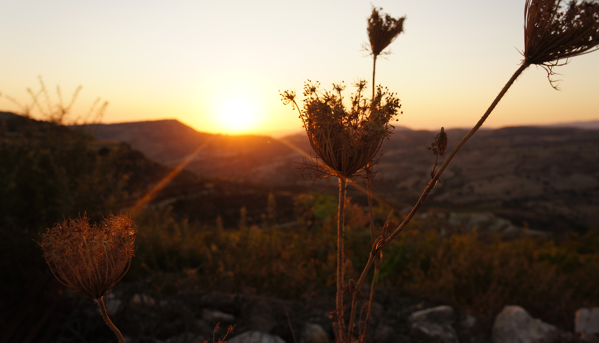 Back to Nature - Zambartas Wineries